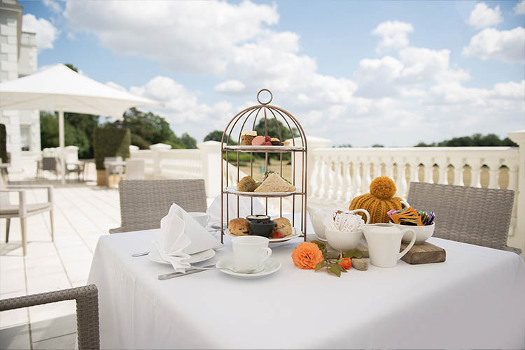 Food Photography for hotels and restaurants- Photography...